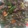 Cooksnap dari Riny Prastya untuk resep Oseng cumi cabe hijau
