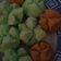 Cooksnap dari Ida Hamida untuk resep Kue apem kukus