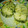El cooksnap de Mari cuando hizo Rodajas de merluza al horno, en salsa verde.