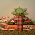 Carolyn's cooksnap of when they made Christmas sled.
