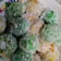 Cooksnap dari Windia untuk resep Klepon Ubi Jalar