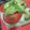 El cooksnap de Juan Pérez Gómez cuando hizo Sándwich de aguacate y huevo.