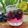 Tanmana Dasgupta Deb's cooksnap of when they made বেদানার মোহিতো(Bedanar mojito recipe in Bengali).