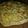 El cooksnap de Meliisa Funes cuando hizo Tarta light de brócoli y pollo.