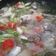 Cooksnap dari deoctafika untuk resep Sup ikan bawal putih