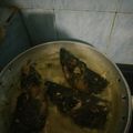 Cooksnap dari YukitaCantik Shop untuk resep Manggut kepala manyung