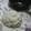 El cooksnap de Eze Tano cuando hizo Tortas fritas semidulces.