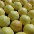 Cooksnap dari Eka Puspitasari untuk resep Nastar klasik lumer (layak jual)