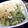 Harshida Thakar's cooksnap of when they made ઇન્સ્ટન્ટ સેવ ખમણી (Instant Sev Khamni recipe in Gujarati).