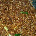 Cooksnap dari Lily untuk resep Sambal goreng KERING TEMPE LENGKAP, UTK NASI KOTAK
