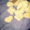 El cooksnap de RICO RICO cuando hizo Galletitas dulces para el mate.