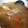 Cooksnap dari Erna Aditya untuk resep Palumara Ikan Patin