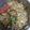 無舒 的 熱狗炒飯 cooksnap