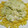 El cooksnap de Maria de los Angeles cuando hizo Fideos con brócoli y salsa blanca.