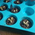 El cooksnap de Jose Eduardo Fernandez cuando hizo Brownie Keto Grez.