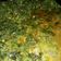 Cooksnap dari Marwina untuk resep Daun singkong masak santan