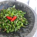 Cooksnap dari Thyara untuk resep Karedok Leunca