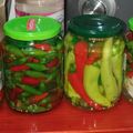 Mária Gergő Lászlóné Cooksnap-ja, amikor elkészítette a(z) Praktikus felöntőlé savanyúsághoz receptet.