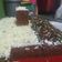 Cooksnap dari Anti untuk resep Red velvet cake