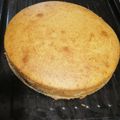 El cooksnap de Gretel Braun saldias cuando hizo Kuchen de manzana y nuez.