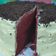 Cooksnap dari Say Corry untuk resep Red Velvet Cake Kukus