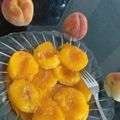 کوک اسنپ ♥️SAHAR♥️ بعد از امتحان کردن کمپوت هلو.