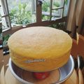 Cooksnap dari Dwi Monica Puspita Sari untuk resep Japanese Cheddar Cheese Cake