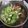 รูป Cooksnap ของ วทัญญู บุญกำเหนิด เมื่อเขาทำ แกงจืดวุ้นเส้นหมูสับเห็ดหอมดอกไม้จีน