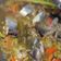 Cooksnap dari Wiwik Widiyati untuk resep Sup kuning patin segar