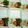 Cooksnap dari Devy Prabowo untuk resep Nasi goreng hongkong