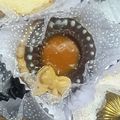 صورة من 🍓🇩🇿Sweet Fresa🍓، شاركها بعد تجربة وصفة صابلي برستيج بماء زهر