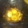 Cooksnap dari San San Liu untuk resep Telur rebus saus tiram saouri
