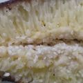 Cooksnap dari Rule untuk resep Terang bulan gluten free