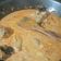 Cooksnap dari naima az zahra untuk resep Rendang Ayam Frozen