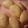 Erina Schreiber's cooksnap of when they made Chinese Steam buns for breakfast by Javier.
