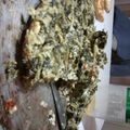 El cooksnap de Besy Marquez cuando hizo Tortilla de acelga.