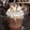 Cooksnap de Alexis Leroux sur la recette Chocolat chaud de Noël 🎄 façon baileys