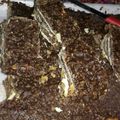 El cooksnap de Romi Delbon cuando hizo Turrón de avena y chocolate.