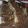 El cooksnap de Romi Delbon cuando hizo Turrón de avena y chocolate.
