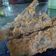 Cooksnap dari Ira untuk resep Lele Goreng Tepung Crispy