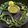 ushma prakash mevada's cooksnap of when they made મીઠા લીમડા ની ચટણી (Curry Leaves Chutney Recipe In Gujarati).
