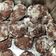 Cooksnap de Justine Déhayes sur la recette Crinkles au chocolat (biscuits de Noël)