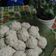 Cooksnap dari Dessy Bustomy untuk resep Bakso Ayam (Untuk Diet)
