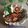 Cooksnap dari Oliveia Faizin untuk resep Kembung Bakar Taliwang
