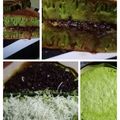 Cooksnap dari Izty Addarini untuk resep 16. Terang Bulan Teflon (lembut bersarang)