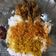 Cooksnap dari Anik Kurniastuty untuk resep Nasi Krawu Gresik