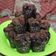 Cooksnap dari Pupud Sayidina Ali untuk resep Muffin kukus Simple (Nyoklat Bgt)