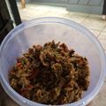 Cooksnap dari vania untuk resep Cakalang suir pedas