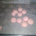 Cooksnap dari jayantrie melynas untuk resep Macaron (resep untuk pemula)
