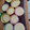 El cooksnap de Lucía Serafini cuando hizo Muffins de limón.